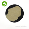 /msite/products/detail/productid/60942834/id/1337892.html